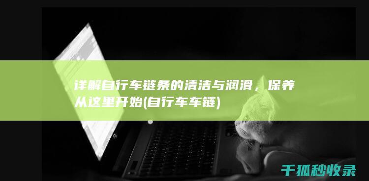 详解自行车链条的清洁与润滑，保养从这里开始 (自行车车链)