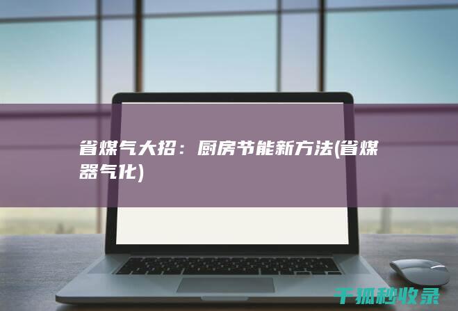 省煤气大招：厨房节能新方法 (省煤器气化)