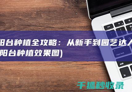 阳台种植全攻略：从新手到园艺达人 (阳台种植效果图)