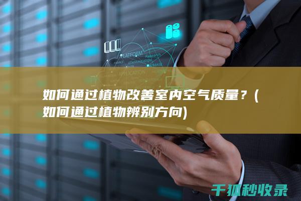 如何通过植物改善室内空气质量？ (如何通过植物辨别方向)