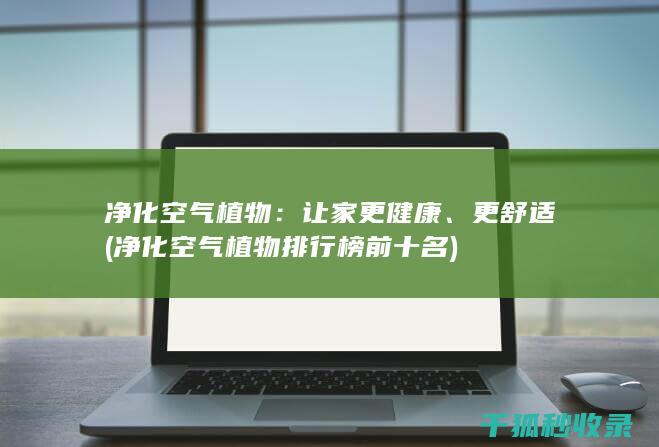 净化排行榜前十名