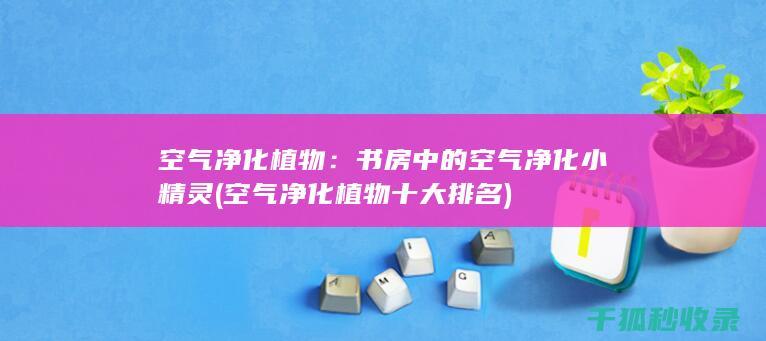 空气净化植物：书房中的空气净化小精灵 (空气净化植物十大排名)