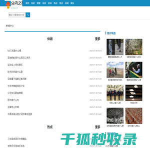 分内之事网